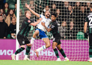 Краснодар 0-0 Динамо