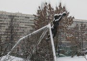 Спортивный Комплекс "ВТБ Арена парк"